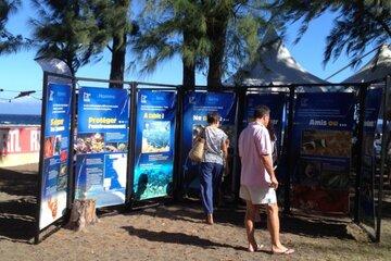 Regards sous la mer Exposition en plein air