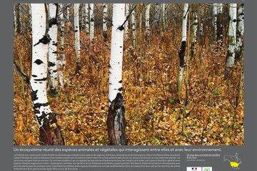 Baie de Somme expostion YAB la Forêt