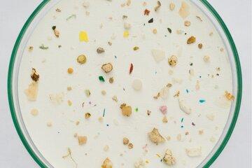 Une lutte engagée contre les microplastiques dans l'océan.