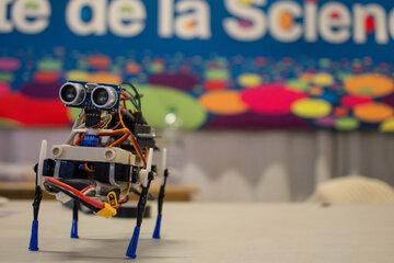 robot créé à la Fête de la science