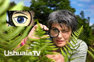 vignette ushuaïa tv curieuse de nature