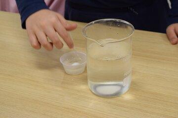 Photographie de deux récipients transparents remplis d'eau dans une expérience de dissolution de sucre issu de plantes.