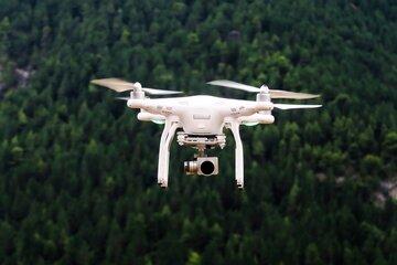 drone en survol d'une foret