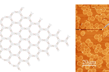 Matériaux poreux bidimensionnels fonctionnels
