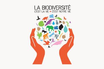 La Biodiversité c'est la vie c'est notre vie