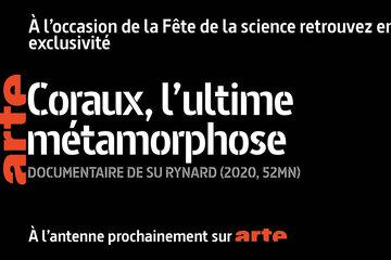 Coraux, l'ultime métamorphose Coraux, l'ultime métamorphose