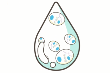 schéma Exosomes