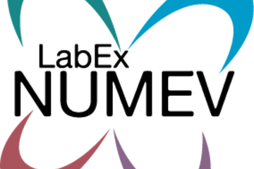 logo LabEx NUMEV