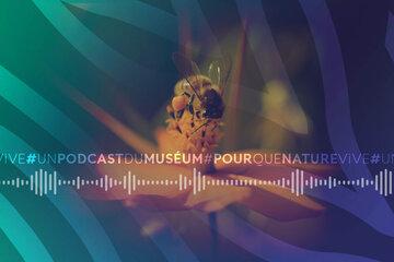 Pour que nature vive - Podcast - Muséum national d'histoire naturelle Pour que nature vive - Podcast