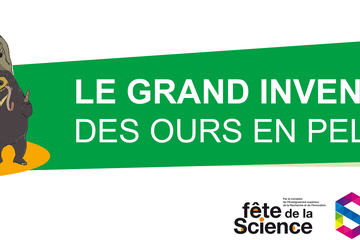 le grand inventaire des ours en peluche visuel - le grand inventaire des ours en peluche