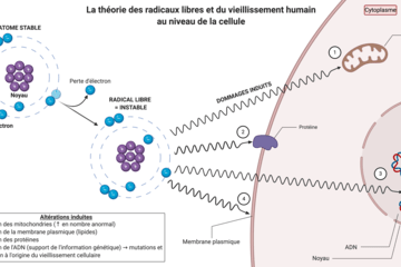 Altération cellulaire et thérapeutiques issue de la biodiversité