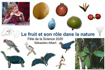 Fruit et son rôle dans la nature Fruit et son rôle dans la nature