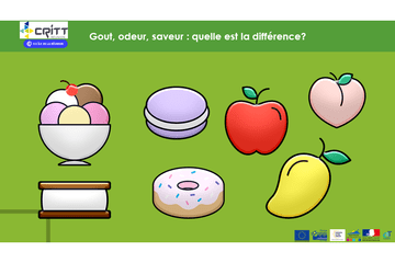 Faire la différence entre goût, saveur et odeur Faire la différence entre goût, saveur et odeur
