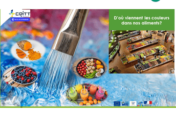 D'où viennent les couleurs dans les aliments? Image descriptive pour l'atelier d'où viennent les couleurs dans les aliments