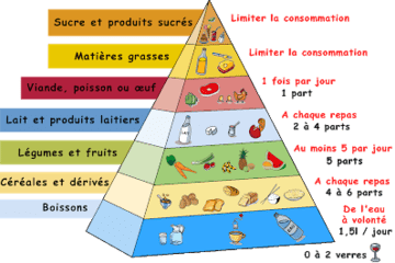 Pyramide alimentaire