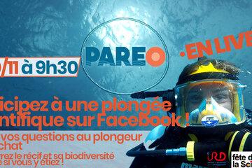 Annonce plongée en direct Annonce plongée en direct