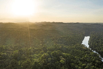 vue d'ensemble du fleuve Sinnamary, au lever du soleil