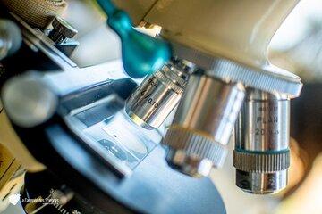 vue rapprochée des objectifs d'un microscope