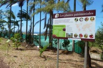 Mise à l'honneur des plantes patrimoniales à l'Arboretum
