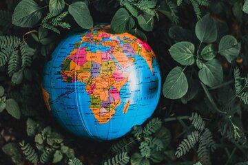 Globe Nature