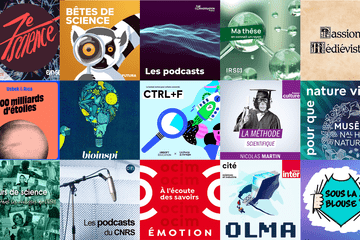 Montage vignettes podcast Montage vignettes podcast