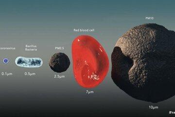 La taille d’un virion Covid-19 par rapport au PM10-2,5 mesurée au microscope électronique 