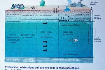 Schéma de l'aquifère et de la nappe phréatique. D'après L. Zilliox (1992)