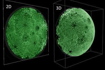 Atomes à la surface d'un métal Observation d'atomes au microscope