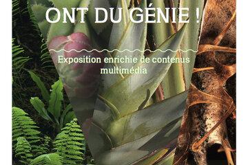 Les plantes ont du génie Exposition
