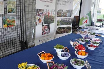 CHAMBRE D’AGRICULTURE DES ALPES-MARITIMES - Dégustation de fleurs