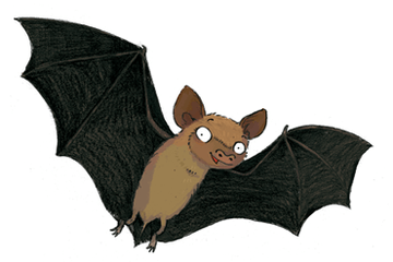 Chauve-souris