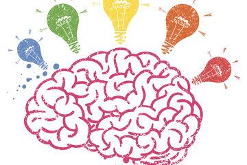 Cerveau