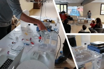 Atelier Gouttes et Bulles