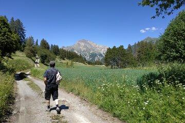 randonneur sur chemin entouré des prairies de montagne