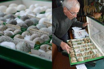 L’ornithologue, l’œuf et la science avec Jacques BLONDEL