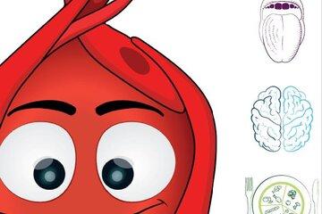 légumes cerveau... pour illustrer le thème du Goût