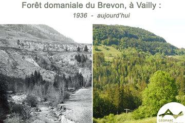 Comparaison de la forêt domaniale du Brevon entre 1936 et aujourd'hui