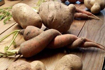 Des légumes moches ou des légumes qui s'aiment 