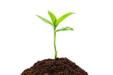 DU TRI DES DECHETS A LA VALORISATION DU COMPOST