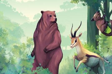Espèces de climat! L'ours, la gazelle et le aye-aye