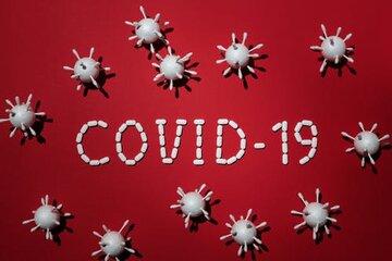 Covid-19 : représentation de bactéries