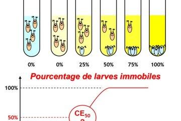 Principe des tests écotoxicologiques - gammes de concentration et courbe dose-réponse