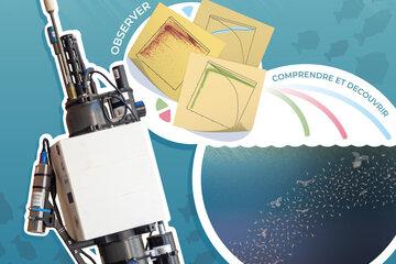 Grâce à l’observation robotisée de l’Océan, plongez à la découverte de la Twilight Zone et découvrez la cacophonie du « monde du silence » !