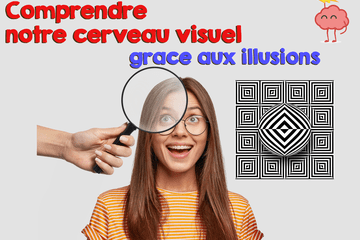 Comprendre notre cerveau visuel grâce aux illusions image