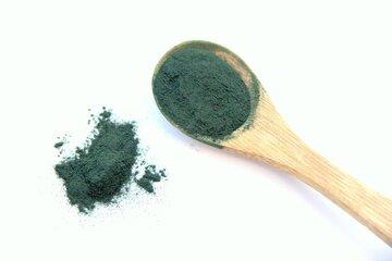 Spiruline en poudre