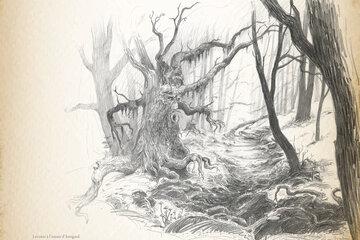Les ents à l'assaut d'Isengard Plante animal ou animal plante ?