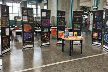 expo merveilles du cerveau