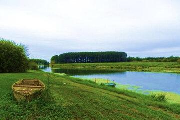 Présence d'une peupleraie en bordure de cours d'eau (La Sarthe)