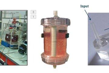 fabrication d'organes