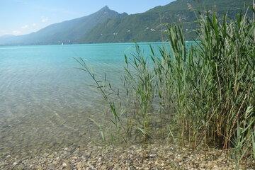 Le lac du Bourget et le projet Eau-climat